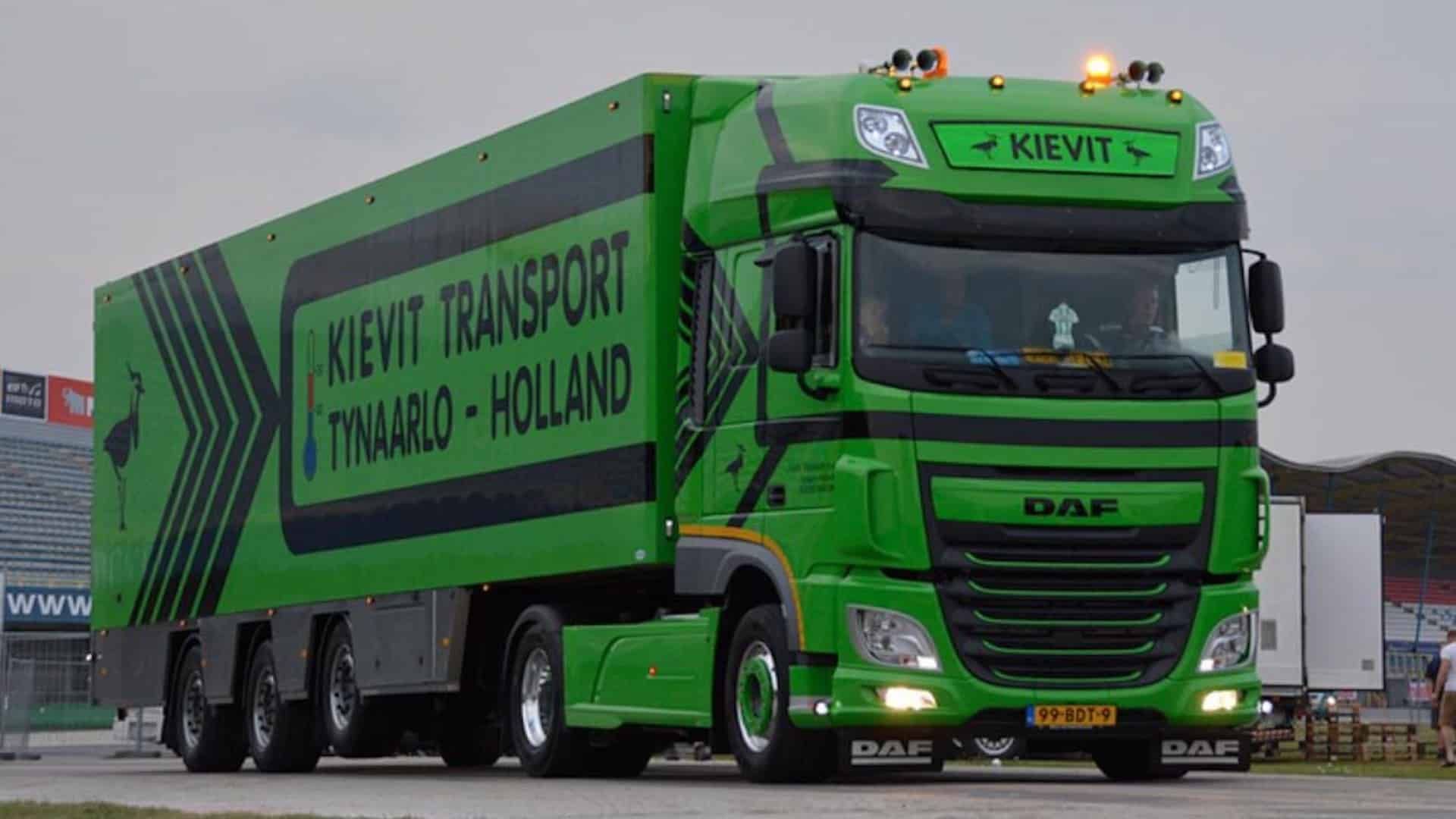 Kievit Tynaarlo